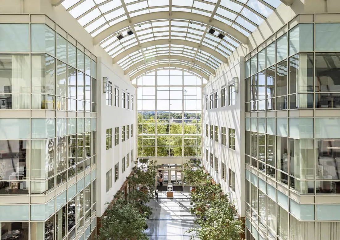 Interior atrium of a glass office building full of natural light